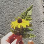 Val Dodge - @valorie_dodge89 - Instagram