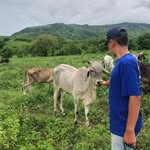 Esequiel Valdovinos - @valdo_ezequiel - Instagram