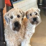 Val Dowd - @dowd.val - Instagram