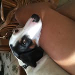 Val Downey - @jacksnewmom - Instagram