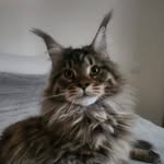 Val Dufour - @val.dufour73 - Instagram