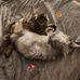 Val Dufour - Facebook