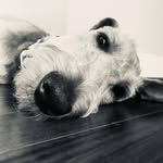 Val Williams Dunn - @valgal1969 - Instagram