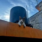 Val Escobar - Facebook