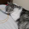 Val estrada - @lau.acevedo35 - TikTok