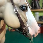 Val Evans - @onesixthsaddlesuk - Instagram
