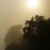 ValeryEverett - @valeryeverett - TikTok