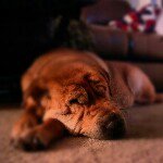 Val Foster - @fosterface1966 - Instagram