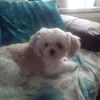 Val Fullerton - @valfullerton23mm - TikTok