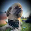 Val Gardner - @val.gardner - TikTok