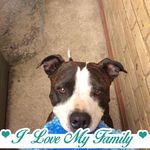 Val Gibbs - @7930871752millie - Instagram