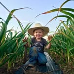 Gilmore Valley Grove - @gilmorevalleygrove - Instagram