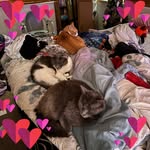 Val Glass - @witchybrat31 - Instagram