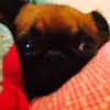 Val Glassick - @val.glassick - TikTok