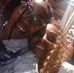 Val Glenn - Facebook