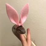 @valgues_tony - Instagram