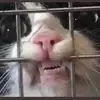 val - @valjhale - TikTok