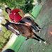 Valdemiro Hansen - Facebook