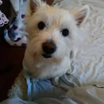 Val Harrison - @val.harrison.5492 - Instagram