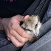 Hart - @hart.val - TikTok