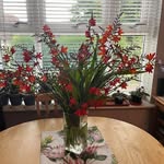 Val Mc Carthy Haynes - @valhaynes50 - Instagram