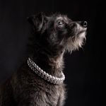 Val Head - @valheadphotography - Instagram
