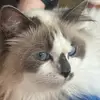 Val Hughes - @val.hughes0 - TikTok