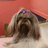 Val Hunt - @valhunt2 - TikTok
