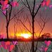 Val Hunt - Facebook