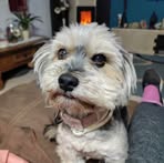 Valerie Hyde - Facebook