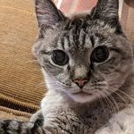 Val Inman - @val.inman.5 - Instagram