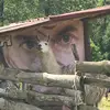 martinvalivanov - @martinvalivanov - TikTok
