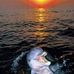 Valerio Ivanov - Facebook