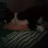 Val Janssens - @val.janssens - TikTok