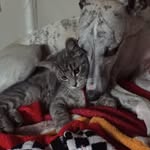 Val Janssens - @janssensval - Instagram