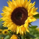 Val - @valkemp__9wk8 - Instagram