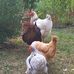 Valerie Klump - Facebook