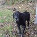 Val Mcknight - Facebook