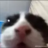 Val - @valen_theknight - TikTok
