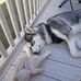 Valerie Knight - Facebook