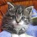 Val Laurent - Facebook