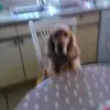 vallawson333 - @vallawson333 - TikTok