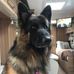 Val Lewis - Facebook