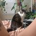 Valerie Lewis - Facebook