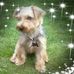 Valerie Mason - Facebook