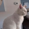 valmckenzie731 - @valmckenzie731 - TikTok