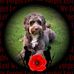 Val Meredith - Facebook