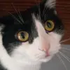 Valerie - @valerie.mickelson - TikTok