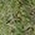 Val Moreau - @hopefully455 - Instagram