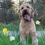 Val Morrison - @val_stornoway - Instagram